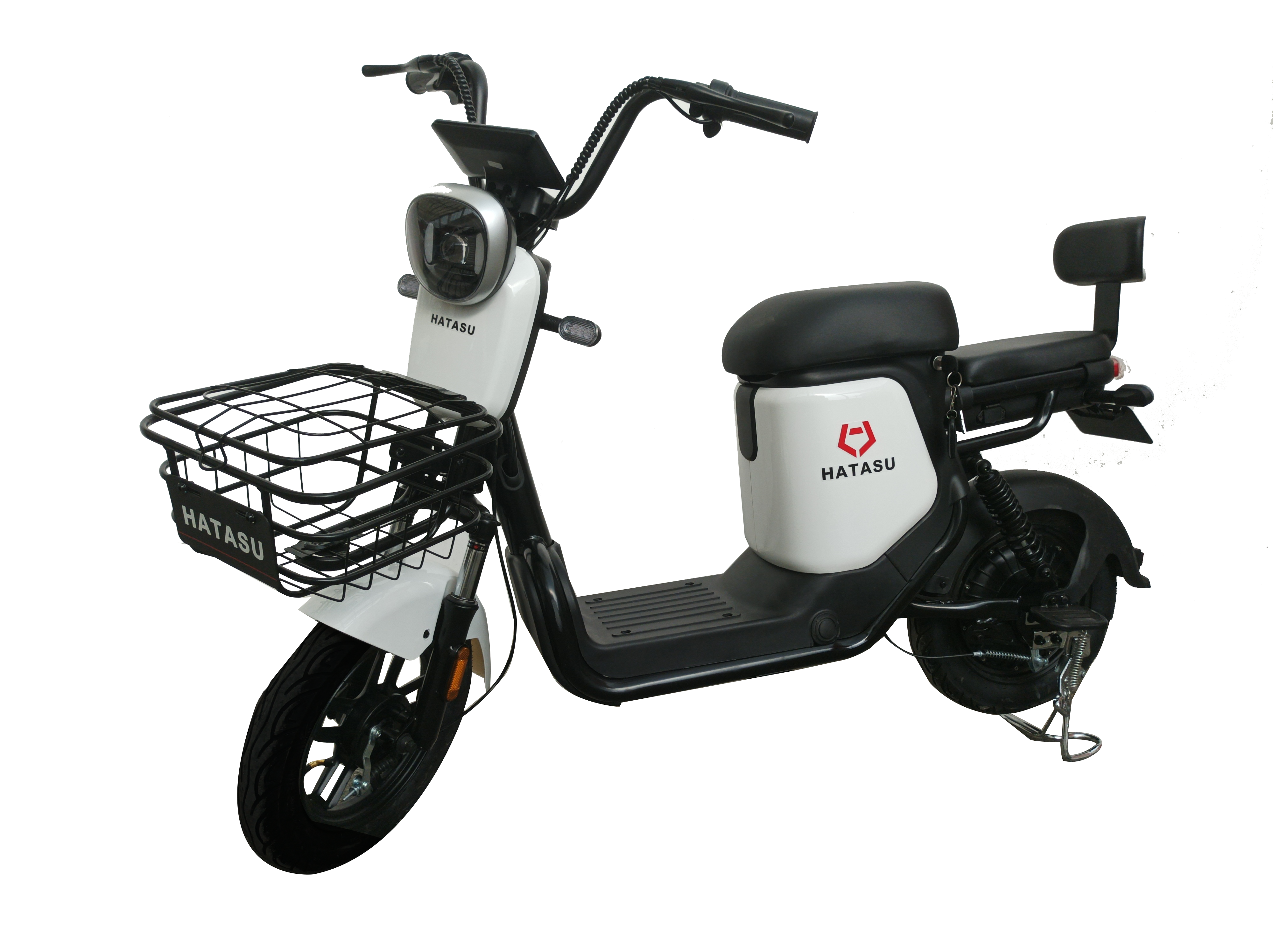 Hatasu Nero - Branch Pick - Up Only