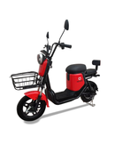 Hatasu Nero - Branch Pick - Up Only